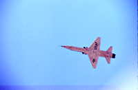 T-38
