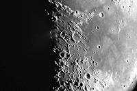 Rima Ariadaeus photo