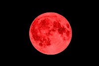 Strawberry Full Moon photo