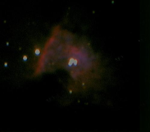 M42