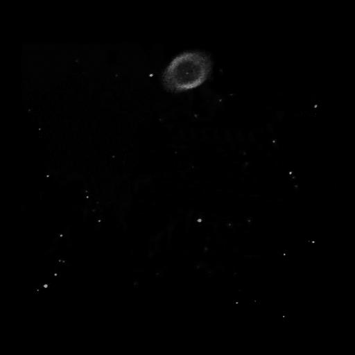 M57