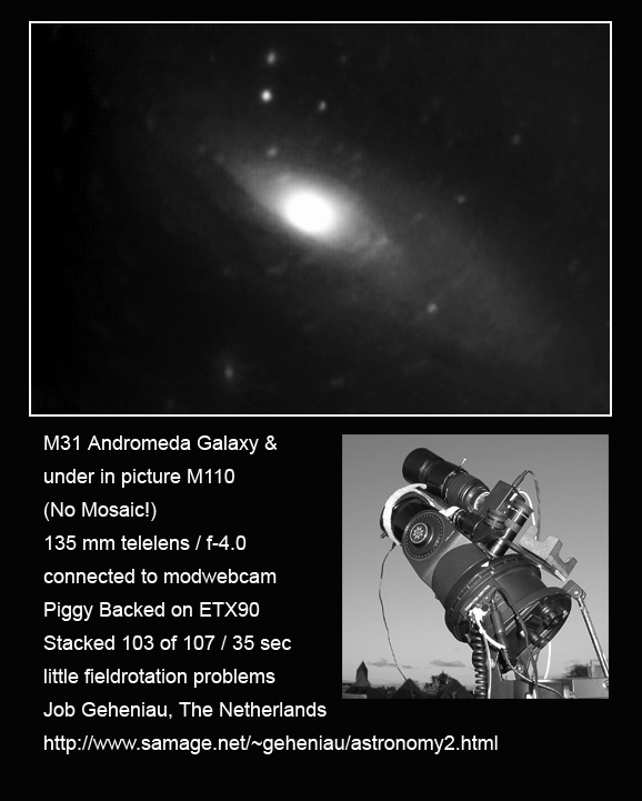 M31