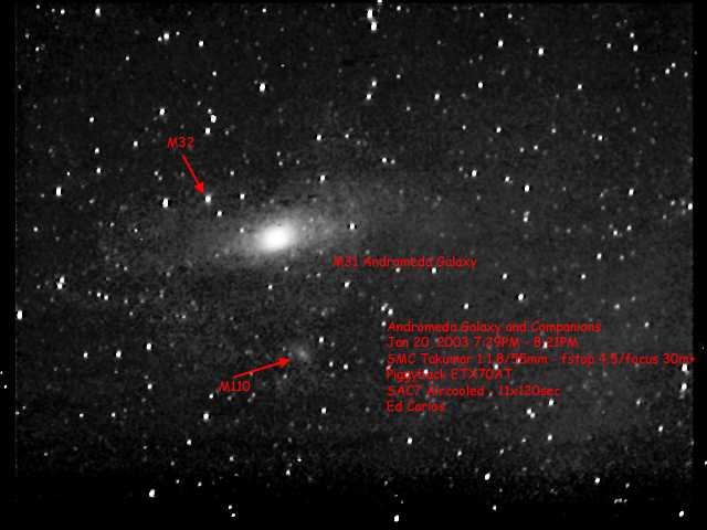 M31