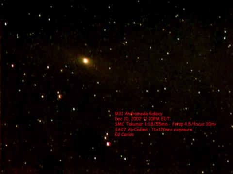 M31