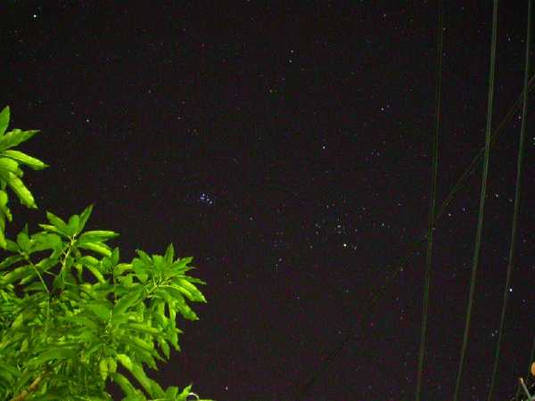 Taurus and Pleiades