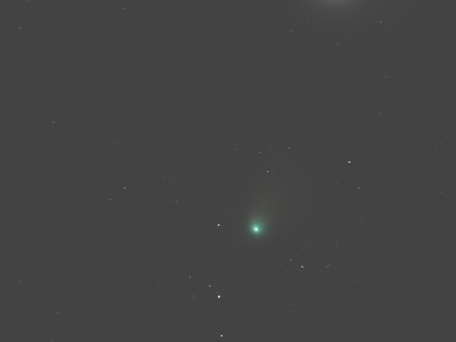 Comet NEAT