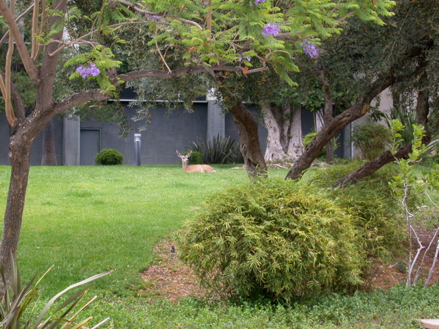 DSCN3571.JPG