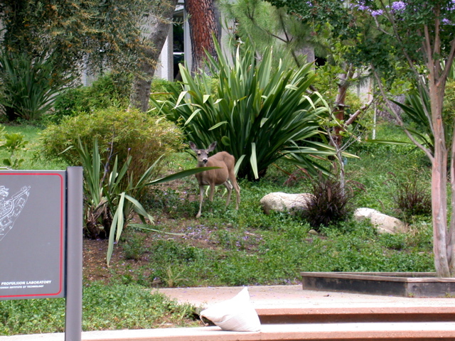 DSCN3572.JPG