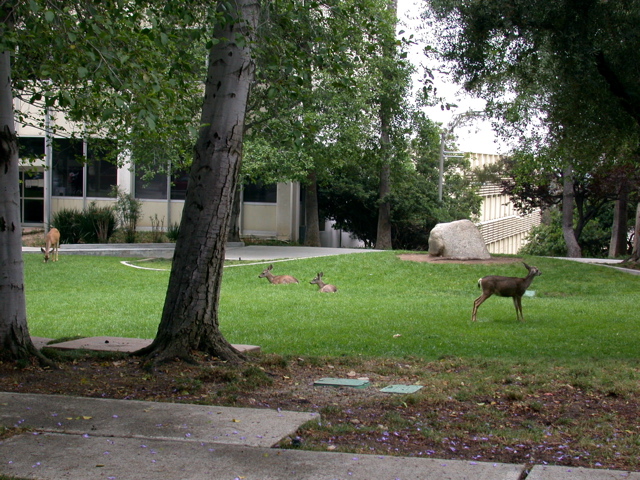 DSCN3576.JPG