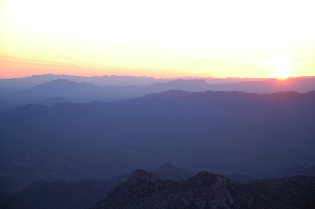 DSC_0195.JPG
