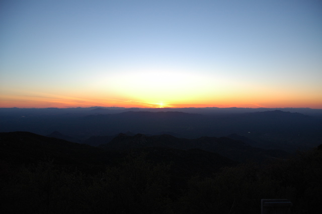 DSC_0203.JPG