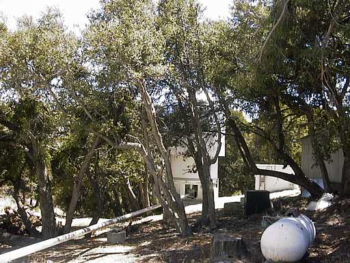 mt-wilson28