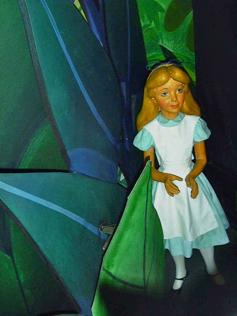 Disneyland39