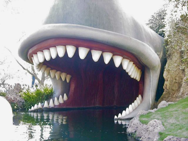 Disneyland42
