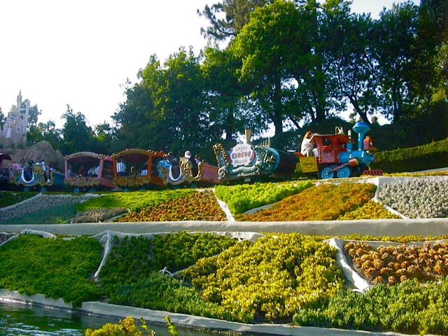 Disneyland44
