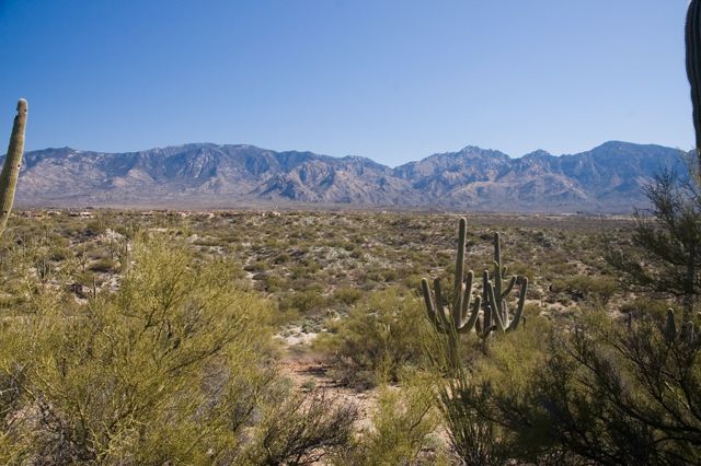 Honeybee Park - View to East