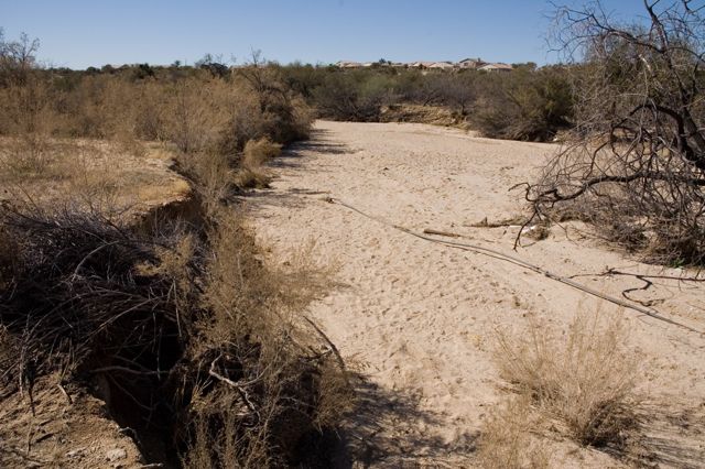 Honeybee Park - River Bed