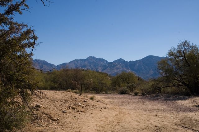 Honeybee Park - River Bed and Mountains