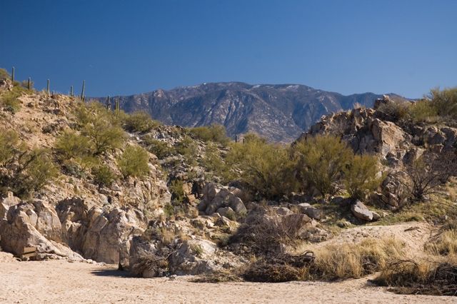 Honeybee Park - Rocks