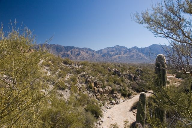Honeybee Park - View to East