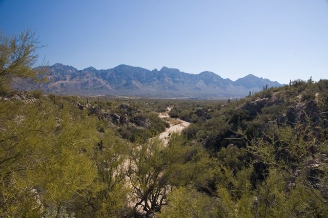 Honeybee Park - View to Southeast