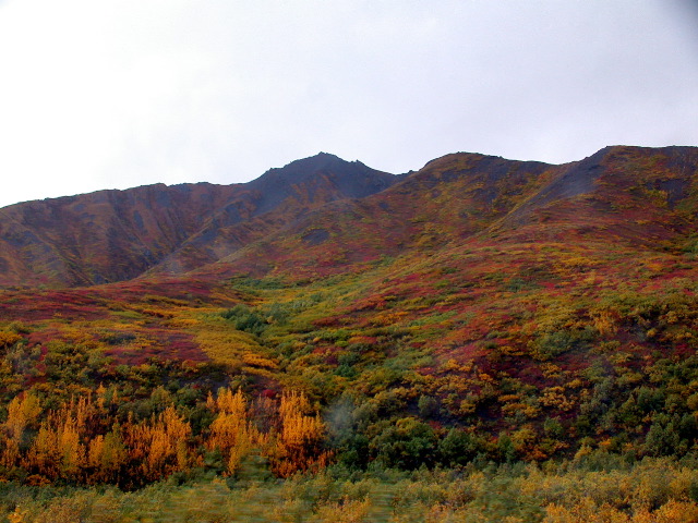 DSCN2442.JPG