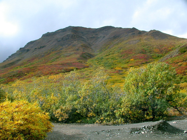 DSCN2443.JPG