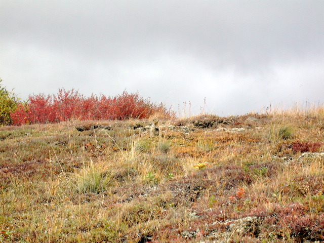 DSCN2449.JPG