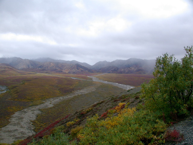 DSCN2455.JPG