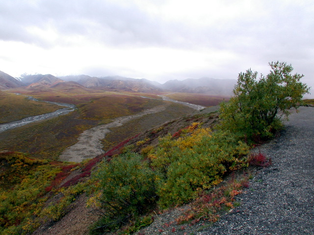DSCN2459.JPG