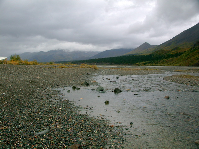DSCN2463.JPG