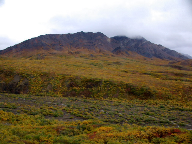 DSCN2465.JPG