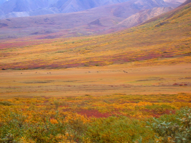 DSCN2469.JPG