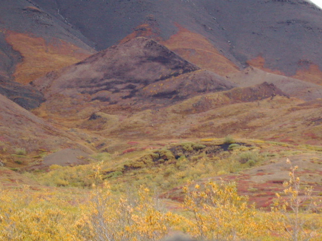 DSCN2477.JPG