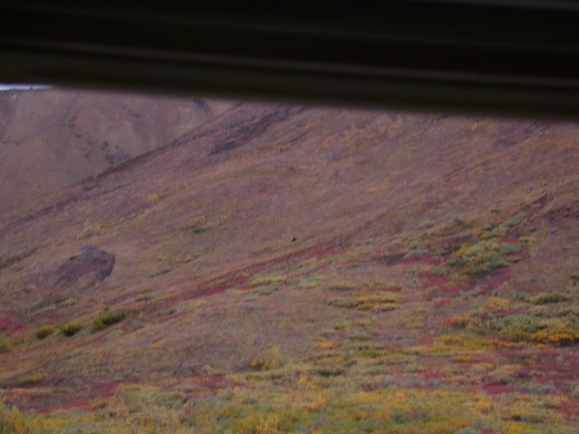 DSCN2484.JPG