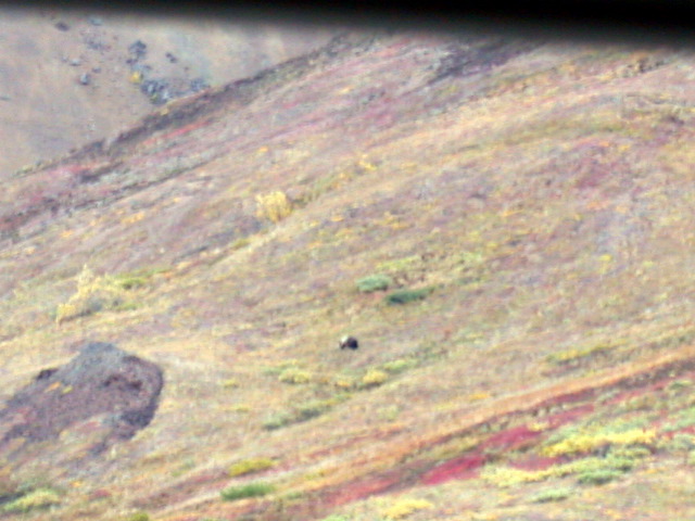 DSCN2486.JPG
