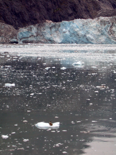 DSCN2794.JPG