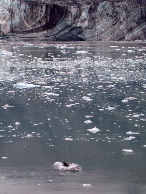 DSCN2795.JPG