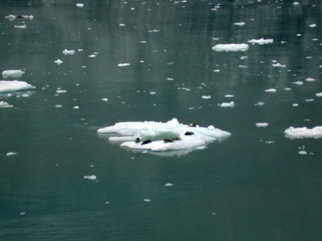DSCN2805.JPG