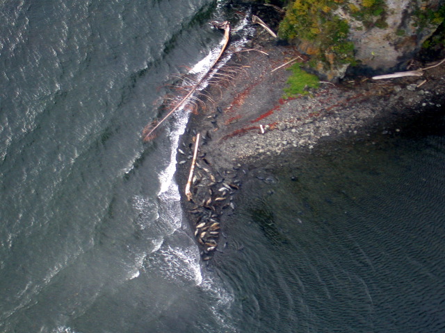 DSCN2980.JPG