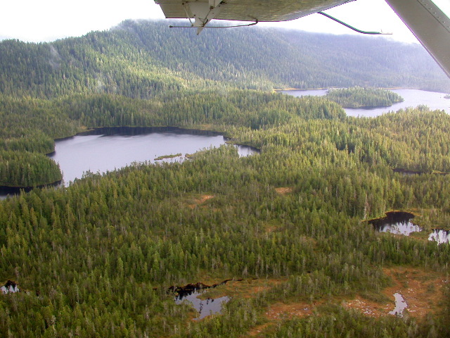 DSCN2982.JPG