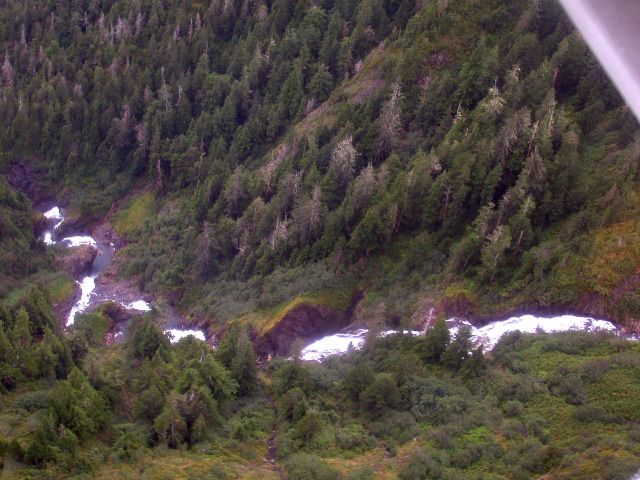 DSCN2988.JPG