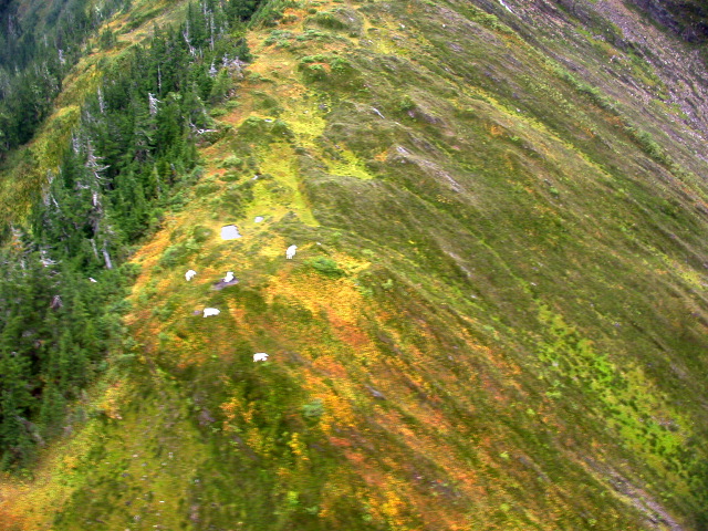 DSCN2990.JPG