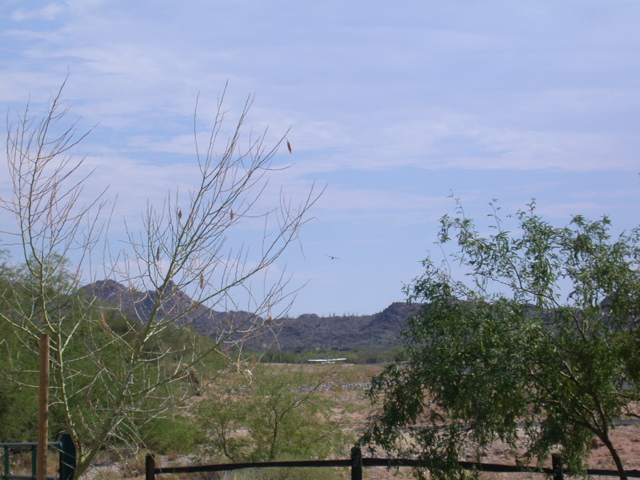DSCN4034.JPG