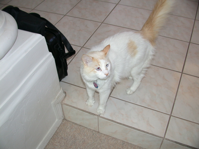 DSCN4065.JPG