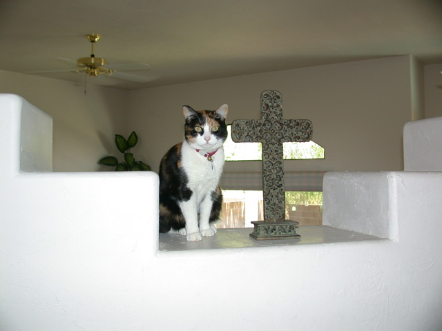 DSCN4067.JPG
