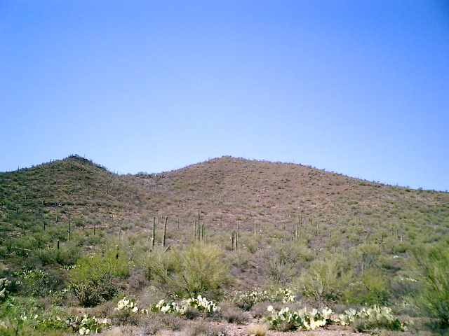 CIMG0001.JPG