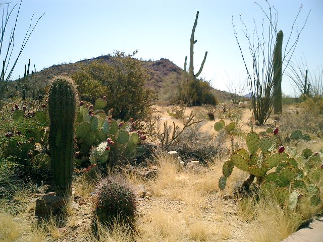 CIMG0011.JPG