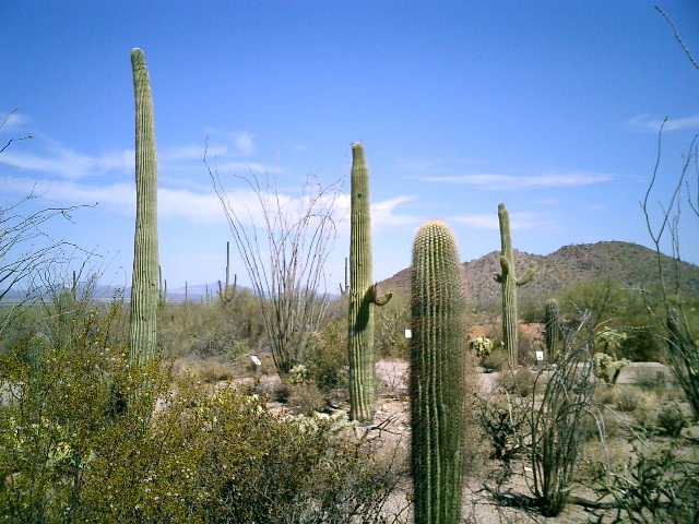 CIMG0014.JPG