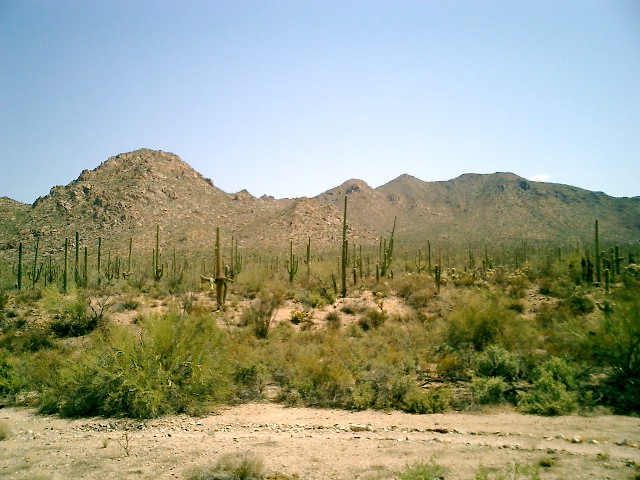 CIMG0015.JPG